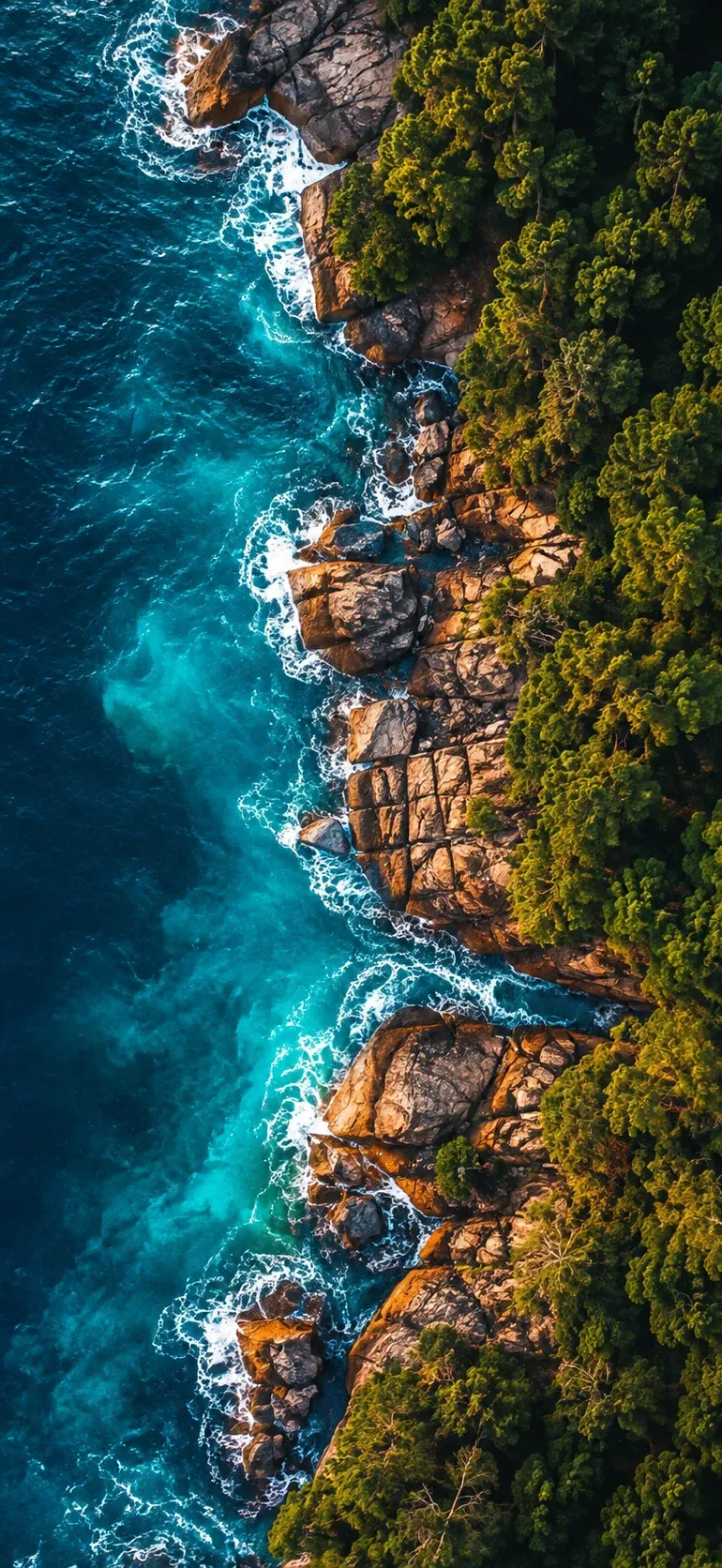 Coastal Cliffs and Forest