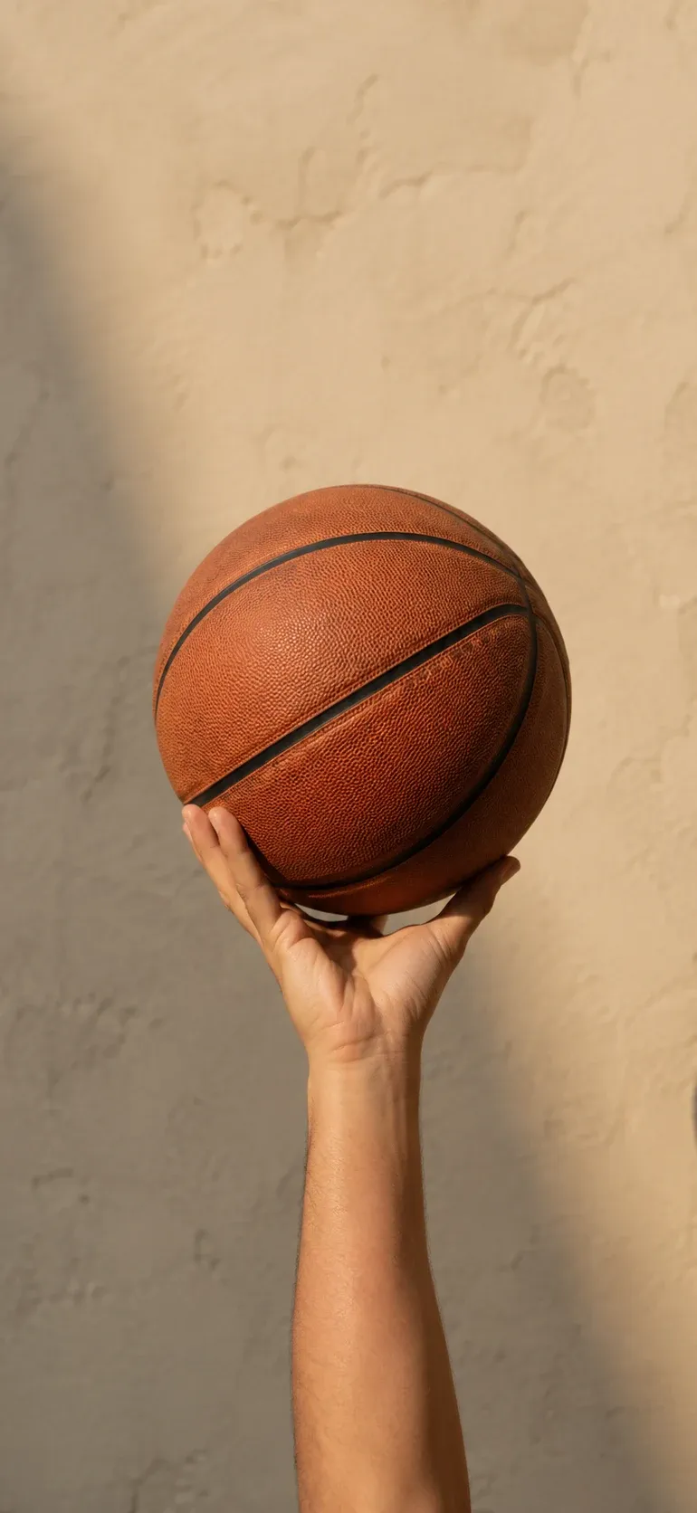 Hold Up Basketball