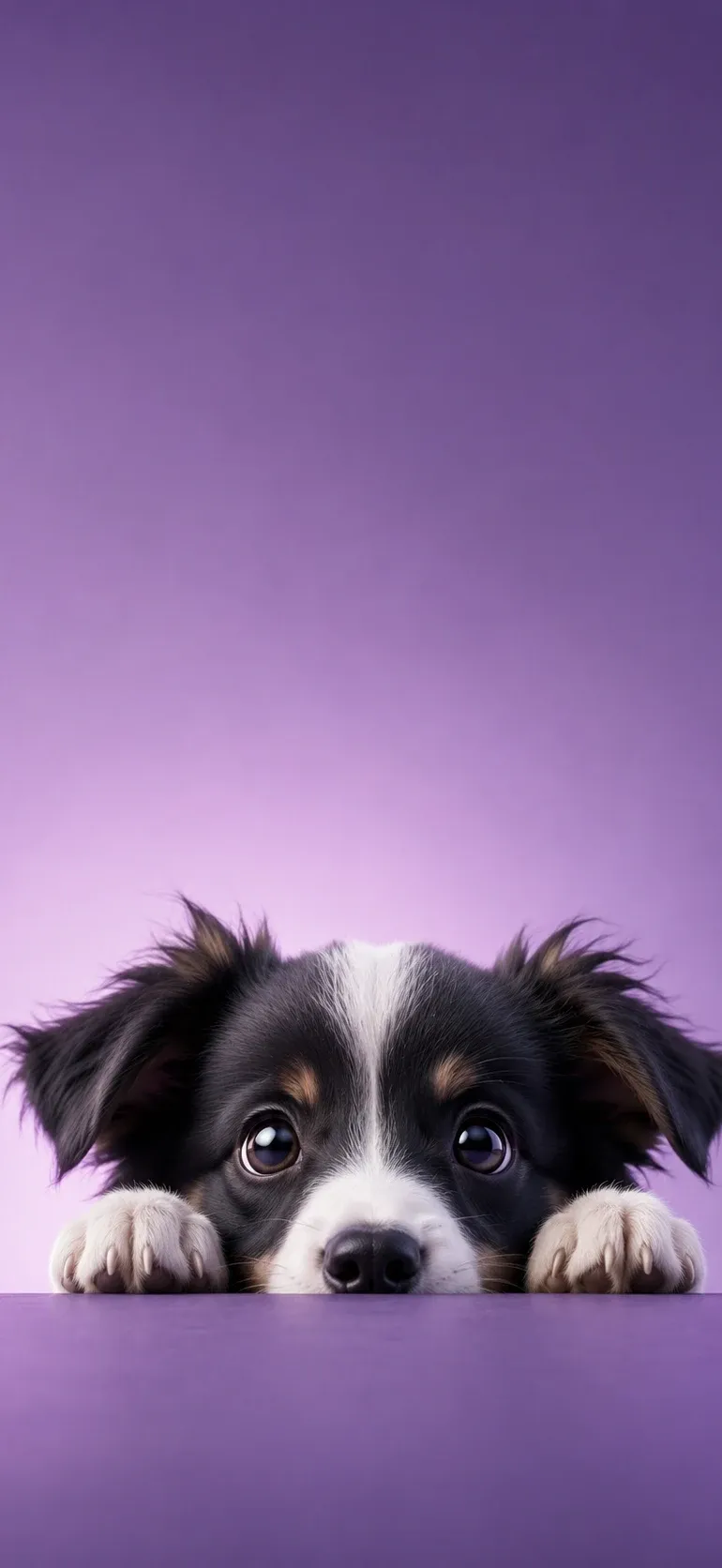 Puppy Peeking Purple