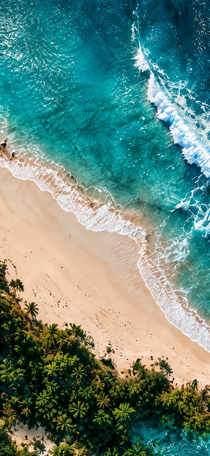 Tropical Beach Aerial View
